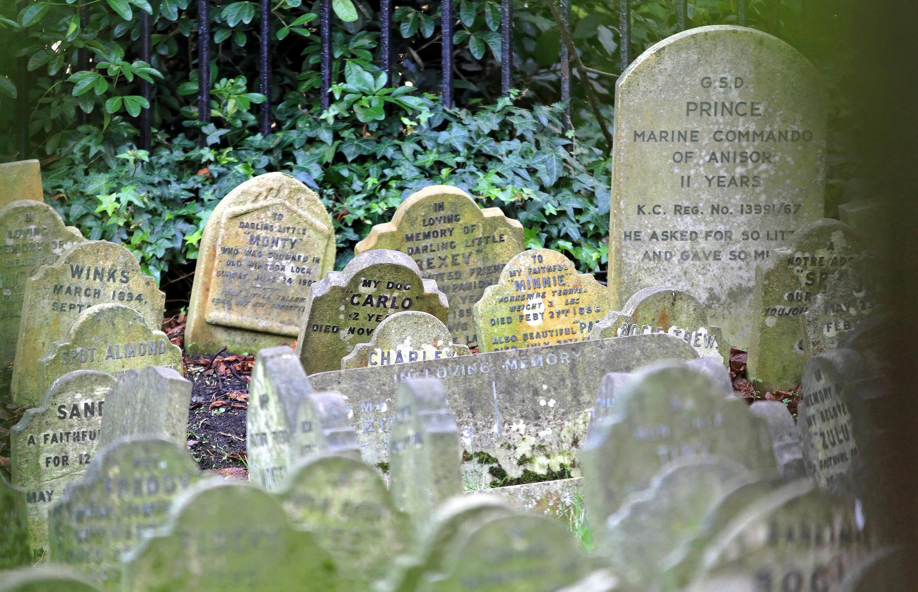 Hyde Park Pet Cemetery, London, England